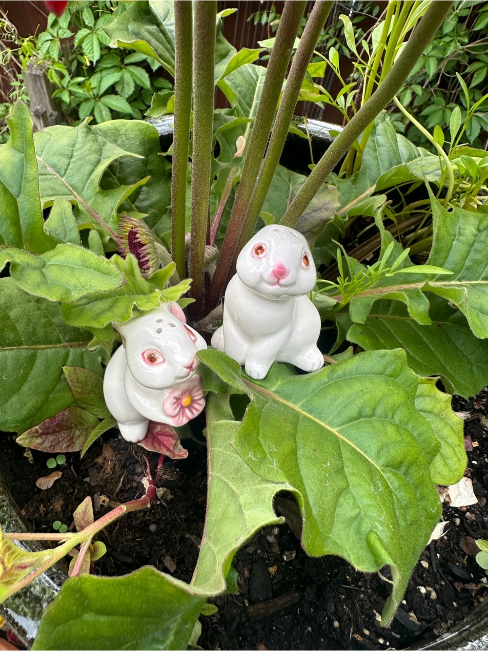 1983 Avon Bunny Salt and Pepper Shaker Set